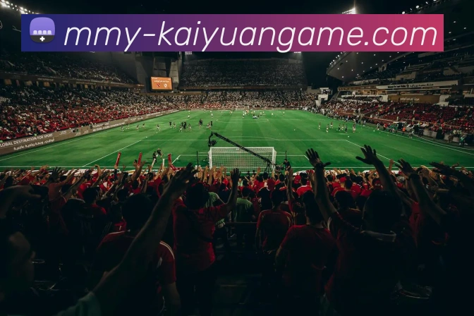 开元棋牌app全站App